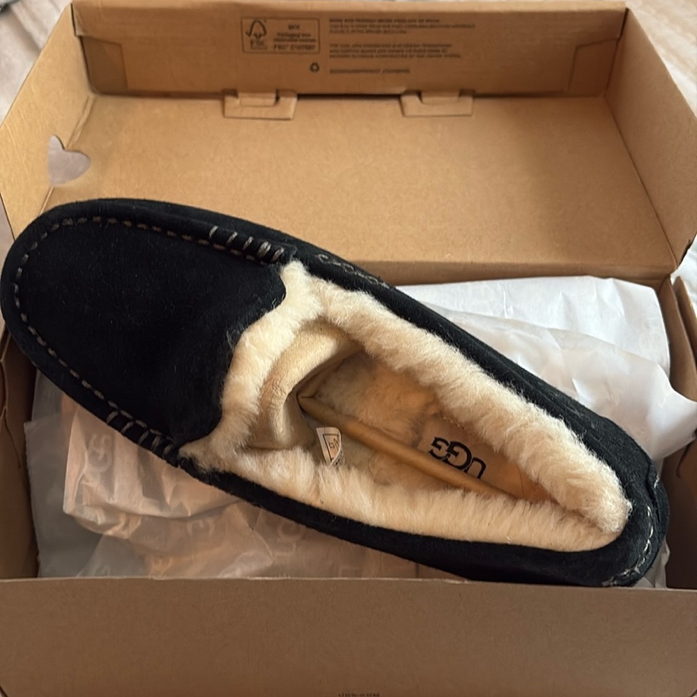 Ugg BRAND NEW